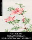 Image for Vintage Art : Megata Morikaga 20 Japanese Woodblock Prints: Ukiyo-e Ephemera for Framing, Collage and Junk Journals
