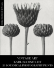 Image for Vintage Art : Karl Blossfeldt 20 Botanical Photography Prints