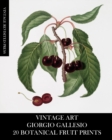 Image for Vintage Art : Giorgio Gallesio 20 Botanical Fruit Prints