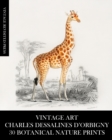 Image for Vintage Art : Charles Dessalines D&#39;Orbigny: 30 Botanical Nature Prints