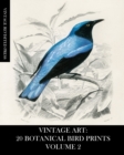 Image for Vintage Art : 20 Botanical Bird Prints Volume 2: Ephemera for Framing, Collage, Mixed Media and Junk Journals
