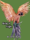 Image for Birds In Flight.