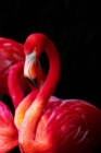 Image for Flamingo JW Gratitude Journal - 3 months