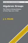 Image for Algebraic groups  : the theory of group schemes of finite type over a field