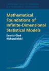 Image for Mathematical Foundations of Infinite-Dimensional Statistical Models