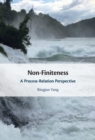 Image for Non-Finiteness: A Process-Relation Perspective