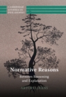 Image for Normative Reasons: Between Reasoning and Explanation