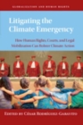 Image for Litigating the Climate Emergency