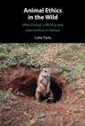 Image for Animal Ethics in the Wild: Wild Animal Suffering and Intervention in Nature
