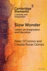 Image for Slow wonder  : letters on imagination and education