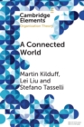Image for A connected world  : social networks and organizations