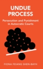 Image for Undue Process