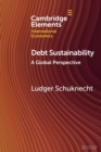 Image for Debt sustainability  : a global perspective