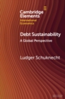 Image for Debt Sustainability: A Global Perspective