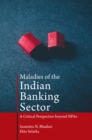 Image for Maladies of the Indian banking sector  : a critical perspective beyond NPAs