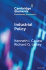 Image for Industrial Policy: The Coevolution of Public and Private Sources of Finance for Important Emerging and Evolving Technologies