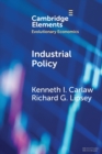 Image for Industrial Policy