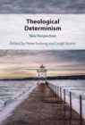 Image for Theological Determinism: New Perspectives