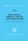 Image for Fractional Sobolev spaces and inequalities : 230