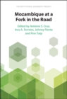 Image for Mozambique at a fork in the road: an institutional diagnostic