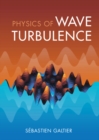 Image for Physics of Wave Turbulence