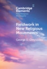 Image for Fieldwork in New Religious Movements
