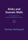 Image for Kinks and Domain Walls