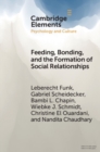 Image for Feeding, bonding, and the formation of social relationships  : ethnographic challenges to attachment theory and early childhood interventions