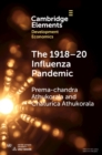 Image for 1918-20 Influenza Pandemic: A Retrospective in the Time of COVID-19
