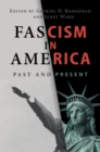 Image for Fascism in America  : past and present