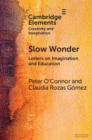 Image for Slow Wonder: Letters on Imagination and Education