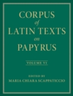 Image for Corpus of Latin Texts on Papyrus: Volume 6, Parts VI and VII, Appendix and Bibliography