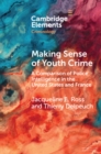 Image for Making Sense of Youth Crime: A Comparison of Police Intelligence in the United States and France