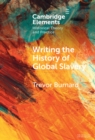 Image for Writing the history of global slavery