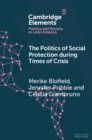 Image for Politics of Social Protection During Times of Crisis