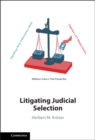 Image for Litigating judicial selection