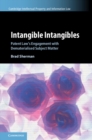 Image for Intangible intangibles  : patent law&#39;s engagement with dematerialised subject matter