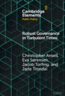 Image for Robust governance in turbulent times