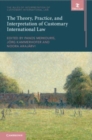 Image for The Theory, Practice, and Interpretation of Customary International Law