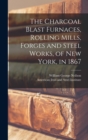 Image for The Charcoal Blast Furnaces, Rolling Mills, Forges and Steel Works, of New York, in 1867