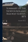 Image for Summary of the Newfoundland Railway Survey, 1875 [microform]