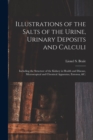 Image for Illustrations of the Salts of the Urine, Urinary Deposits and Calculi