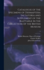 Image for Catalogue of the Specimens of Dermaptera Saltatoria and Supplement of the Blattariae in the Collection of the British Museum; 5