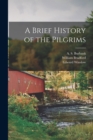Image for A Brief History of the Pilgrims