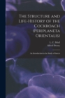 Image for The Structure and Life-history of the Cockroach (Periplaneta Orientalis) : an Introduction to the Study of Insects