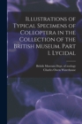 Image for Illustrations of Typical Specimens of Coleoptera in the Collection of the British Museum. Part 1. Lycidal