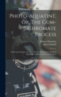 Image for Photo-aquatint, or, The Gum-bichromate Process