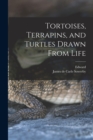 Image for Tortoises, Terrapins, and Turtles Drawn From Life