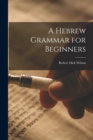 Image for A Hebrew Grammar for Beginners
