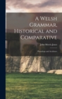 Image for A Welsh Grammar, Historical and Comparative